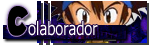 Colaboradores